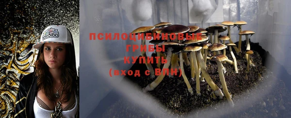 мдпв Балабаново