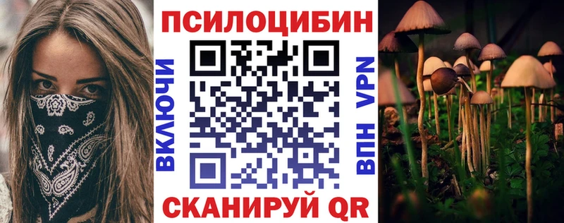 kraken ссылки  купить  цена  Тверь  Галлюциногенные грибы GOLDEN TEACHER 