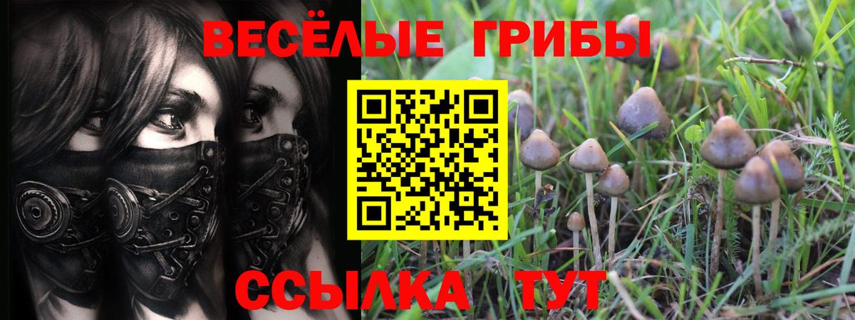 Галлюциногенные грибы Psilocybine cubensis  закладки  Тверь  Вход с VPN 